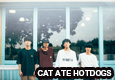 CAT ATE HOTDOGS