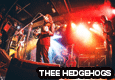 THEE HEDGEHOGS